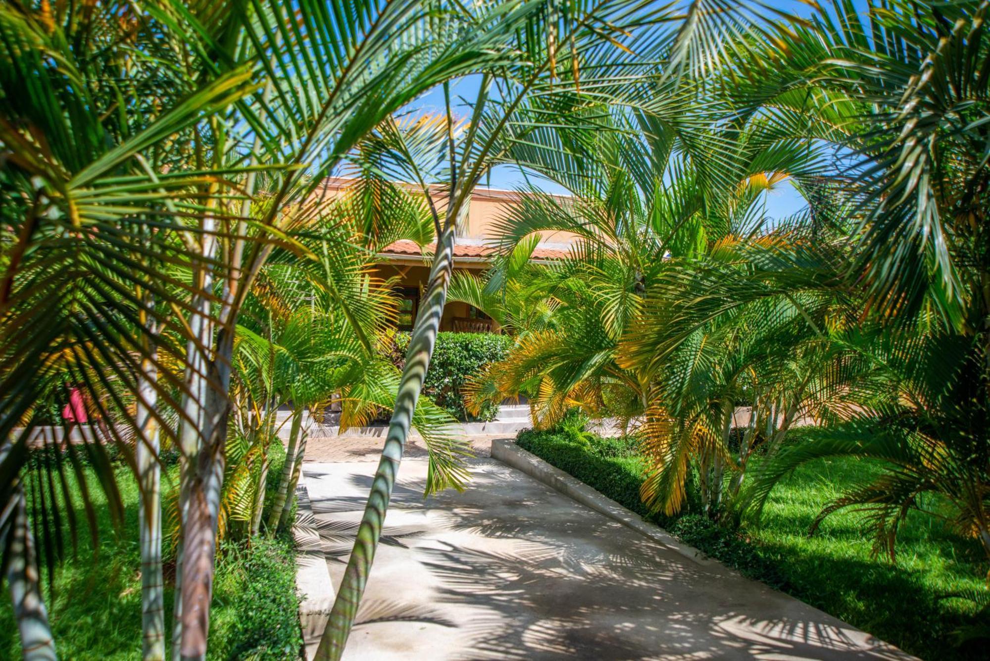 African Roots Guesthouse Entebbe Exterior foto