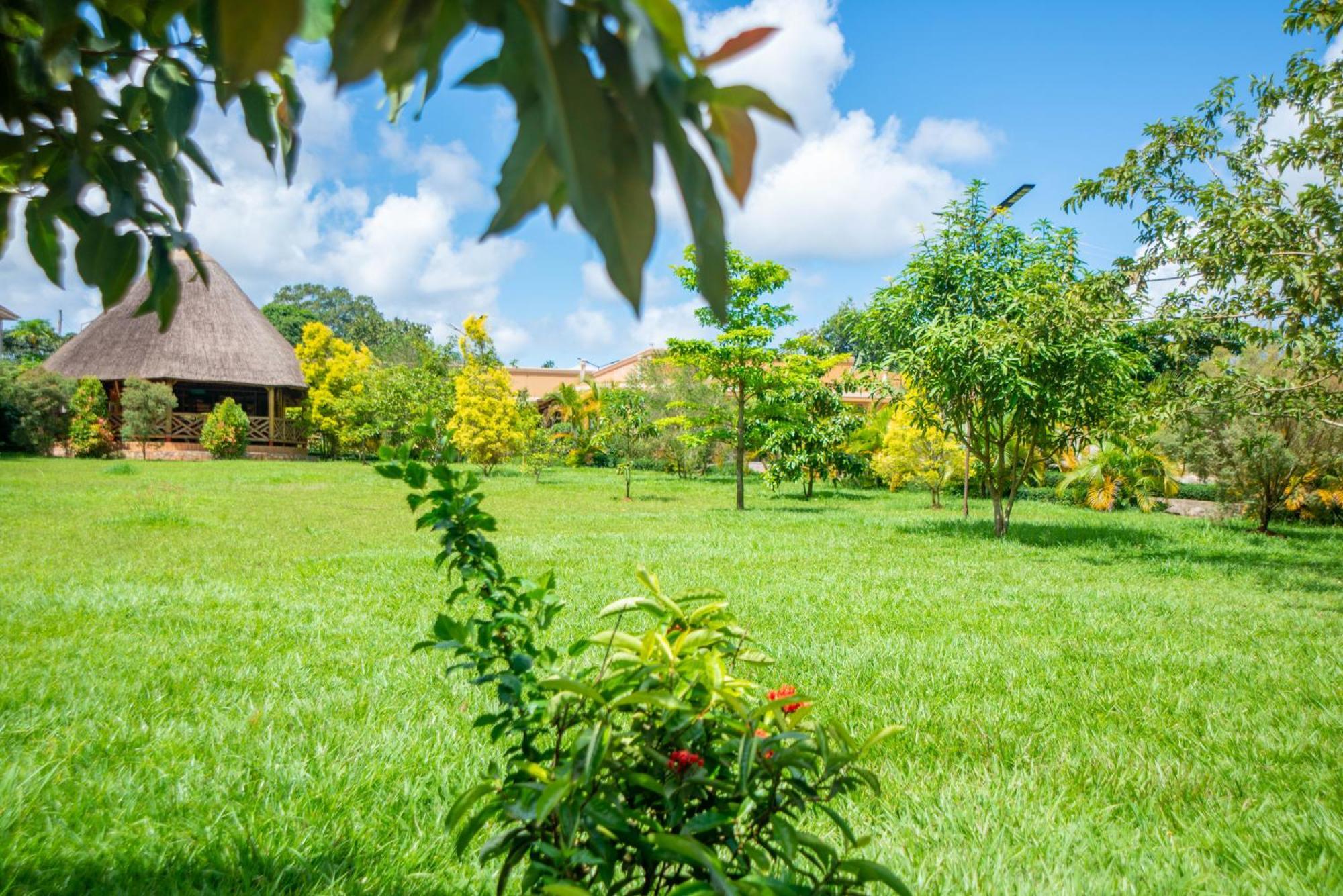 African Roots Guesthouse Entebbe Exterior foto